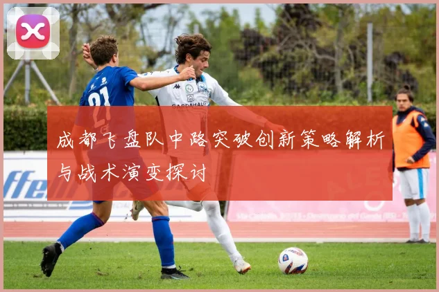 成都飞盘队中路突破创新策略解析与战术演变探讨